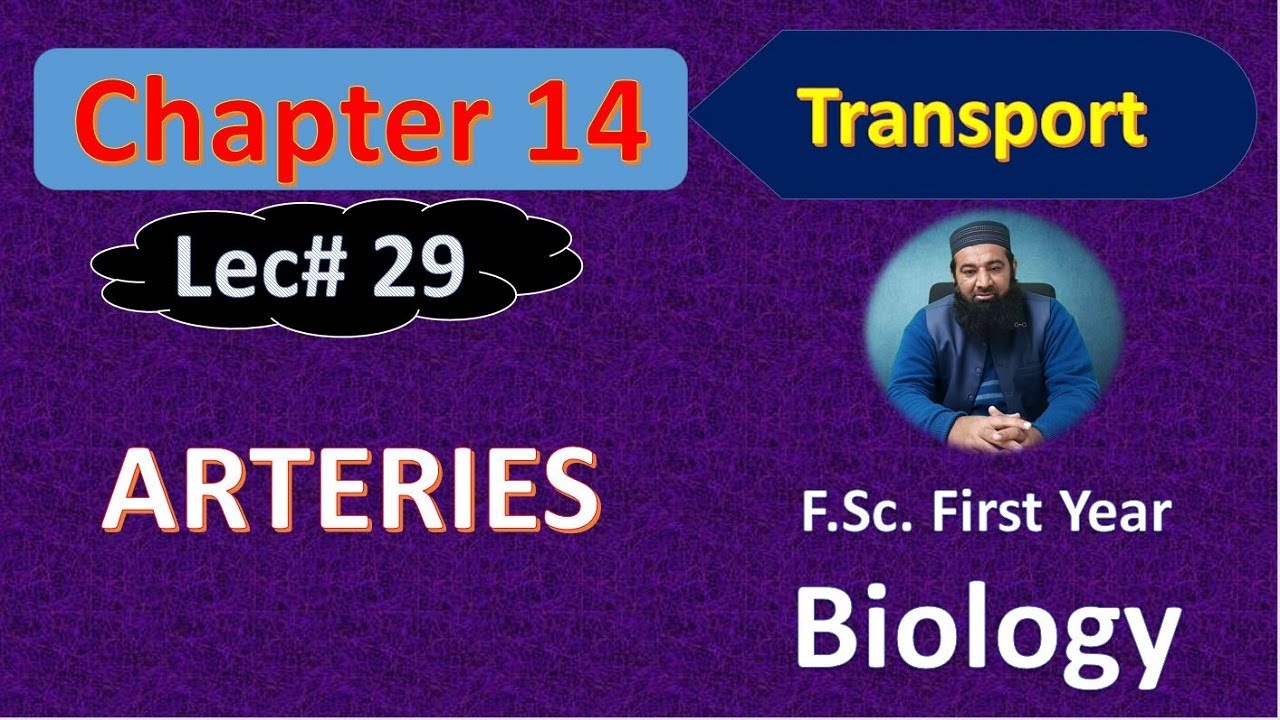 Arteries I Chapter 14 Biology I F.Sc First Year Lec # 29
