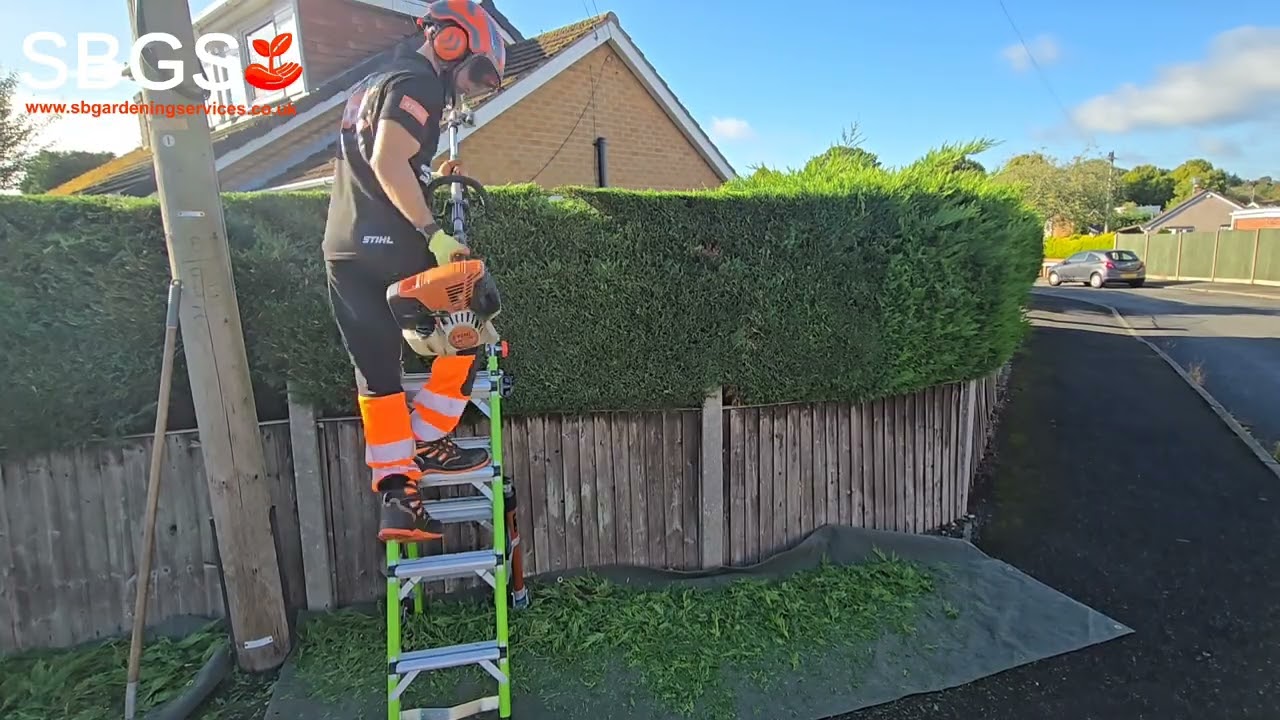 Hedge Cutting Neat and Sharp in Eastwood Nottingham | SBGS