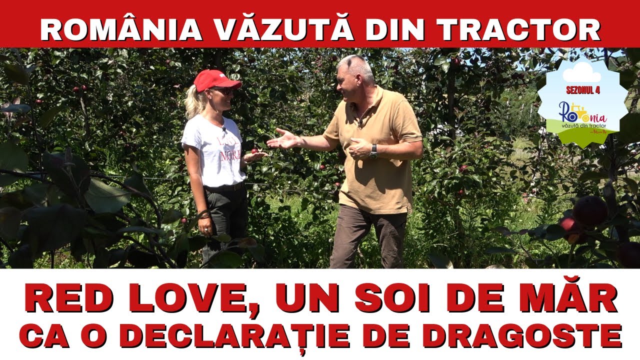 Red Love, un soi de măr ca o declarație de dragoste / România Văzută Din Tractor
