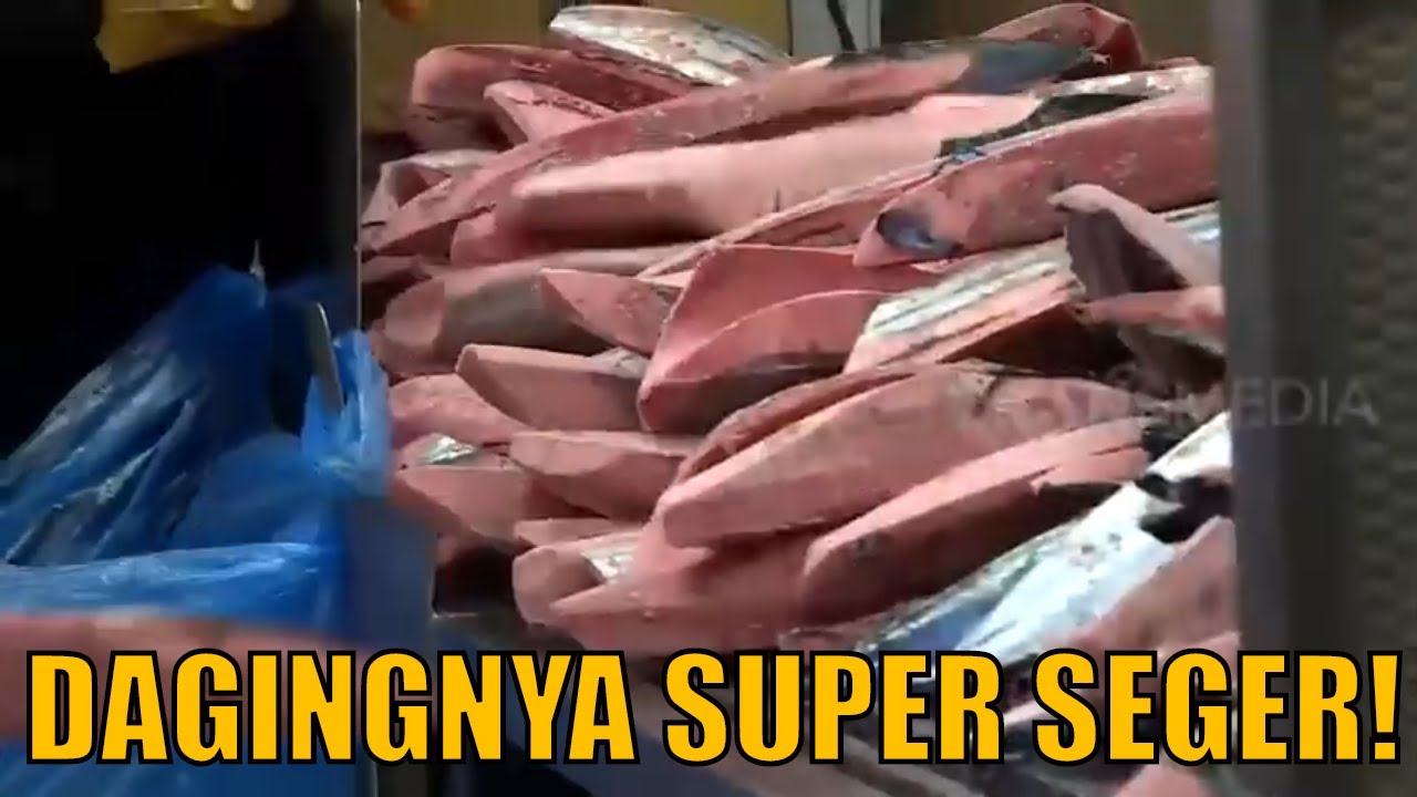 Kepoin Pabrik Pengolahan Ikan Katsuo Tataki | SI UNYIL (23/10/20)