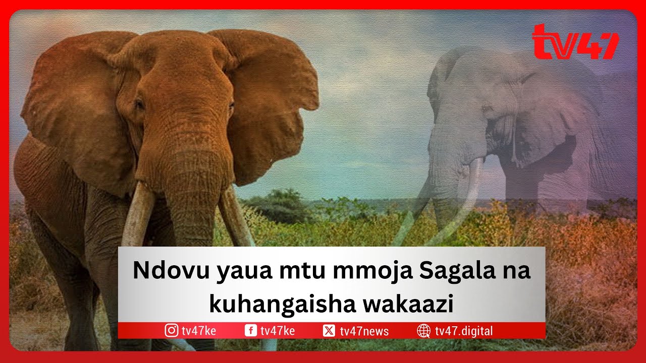 Kilio cha Ndovu Sagala