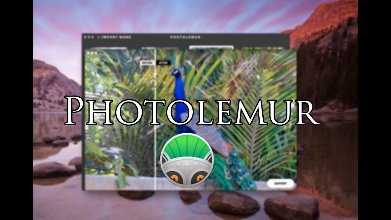 A Look at Photolemur!