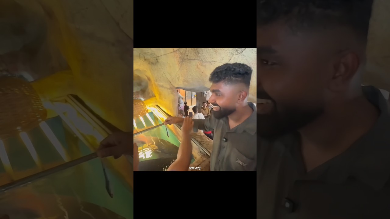 &lrm;Hanan Shaah 😂 Arapaima ക്ക് തീറ്റ കൊടുത്തപ്പോൾ 😹🤣 #shorts #hanan #hananshaah