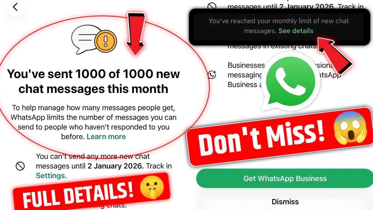 WhatsApp You've sent 1000 of 1000 new chat messages this month | WhatsApp Business New Update