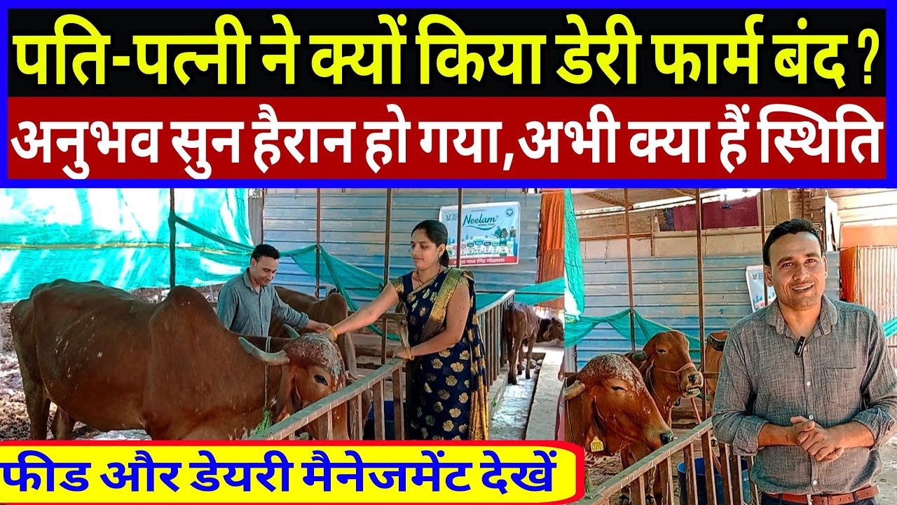 4 साल डेरी चलाने के बाद दंपति ने बंद किया डेरी,शुरू किया गौशाला/amrit pan gaushala patna bihar ||