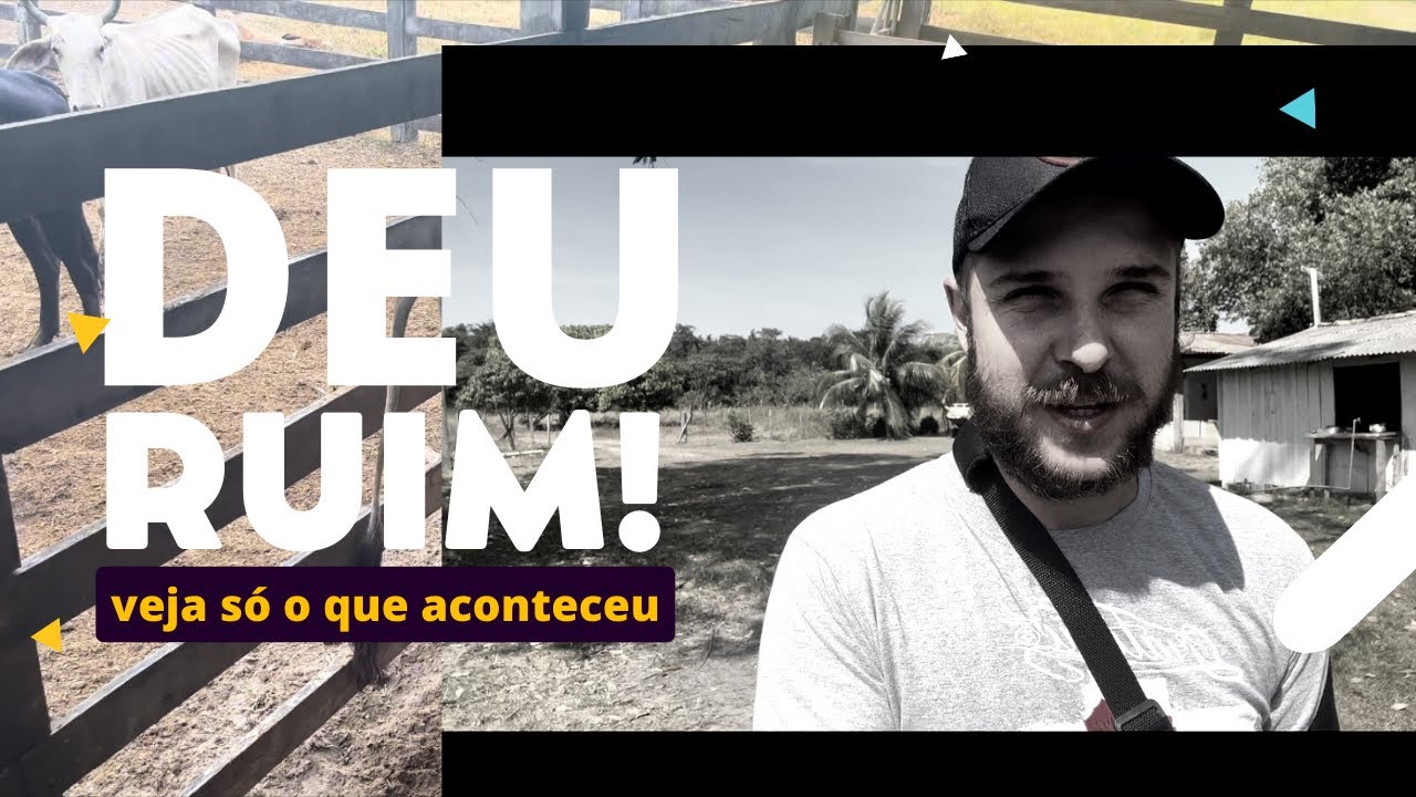 ME MACHUQUEI/ TROCANDO O GADO MACHO