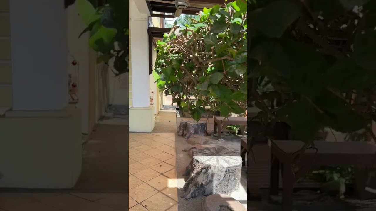 Golf view Freehold Bungalow @Kota Kemuning Hao Min 017-2090811 #kotakemuning #kotapermaicountryclub