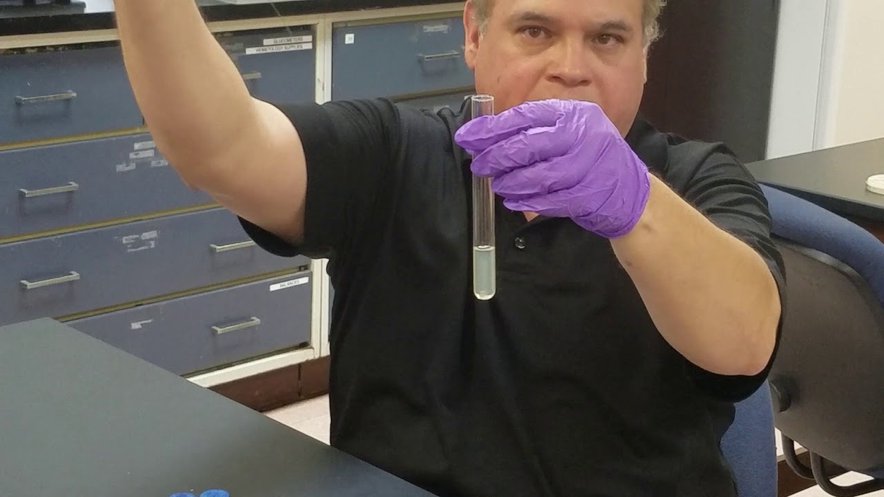 Motility Test