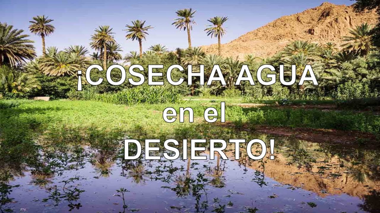 Cosechar agua con Keyline rancho en el desierto con el sistema L&iacute;nea Clave