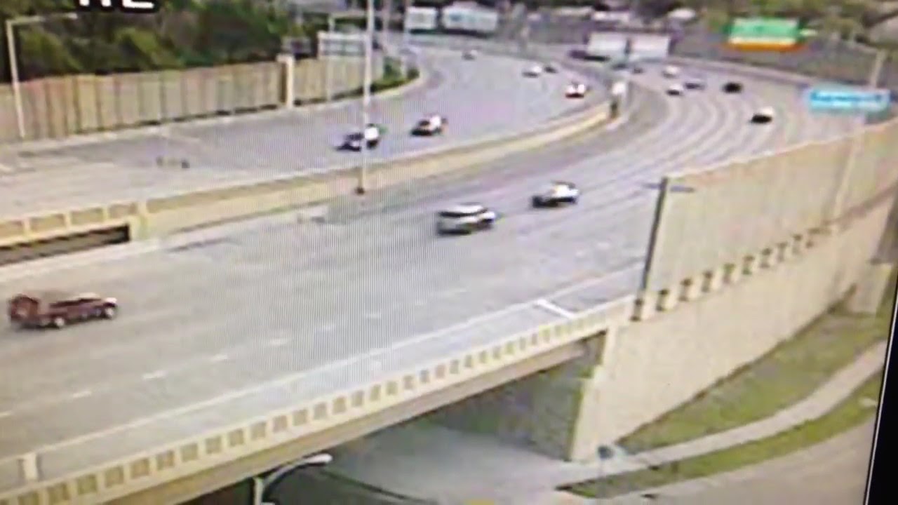 Deer&rsquo;s jump off a bridge