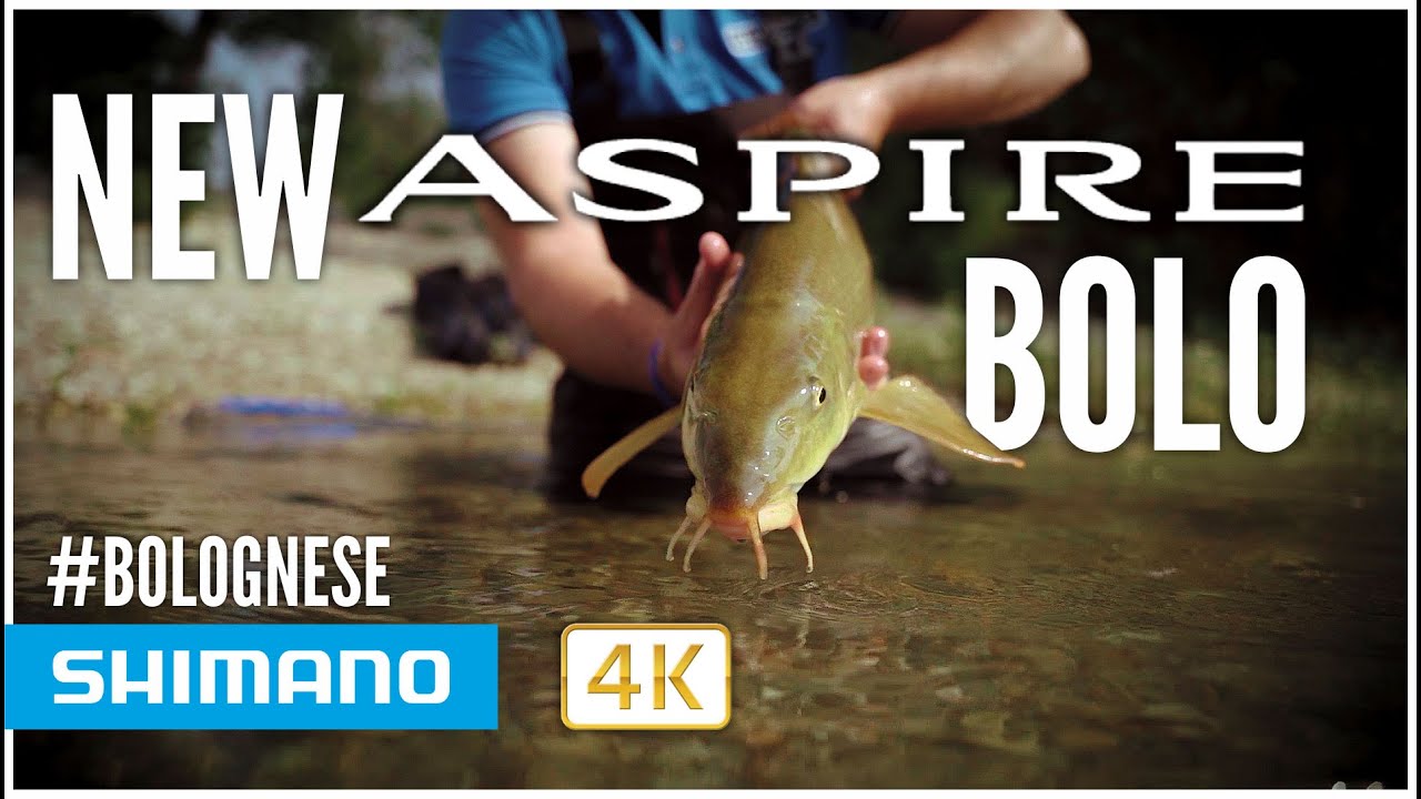 New ASPIRE Bolognese Shimano