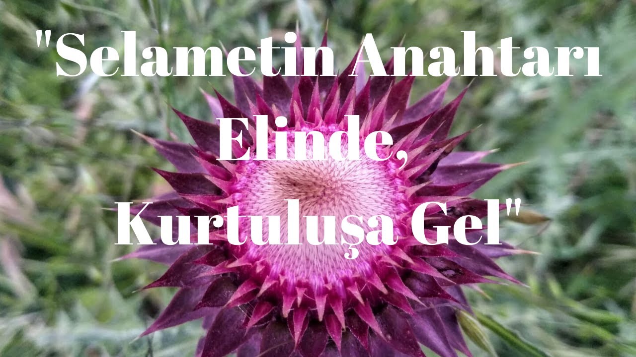 Mehmet Esgün Efendi (r.h) Anısına - 4 (Dua ve Nasihat)