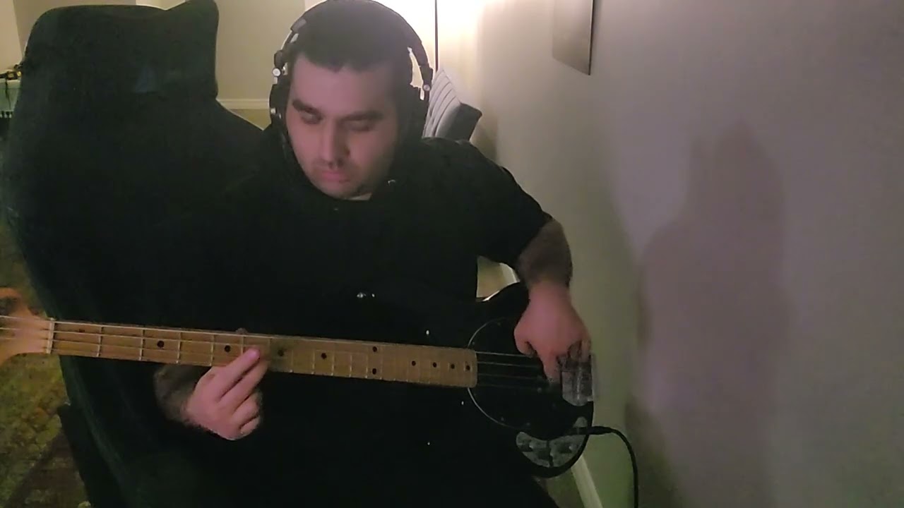 ABBA - The winner takes it all (Bass cover) 