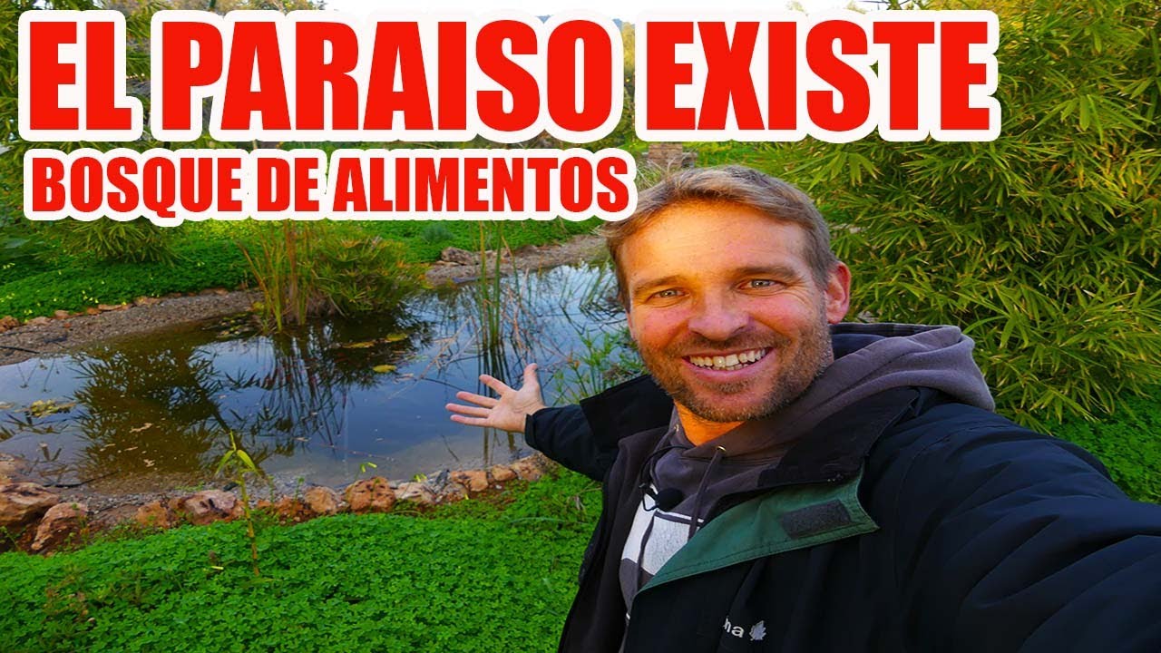 BOSQUE DE ALIMENTOS / BOSQUE COMESTIBLE   ( INVIERNO  )