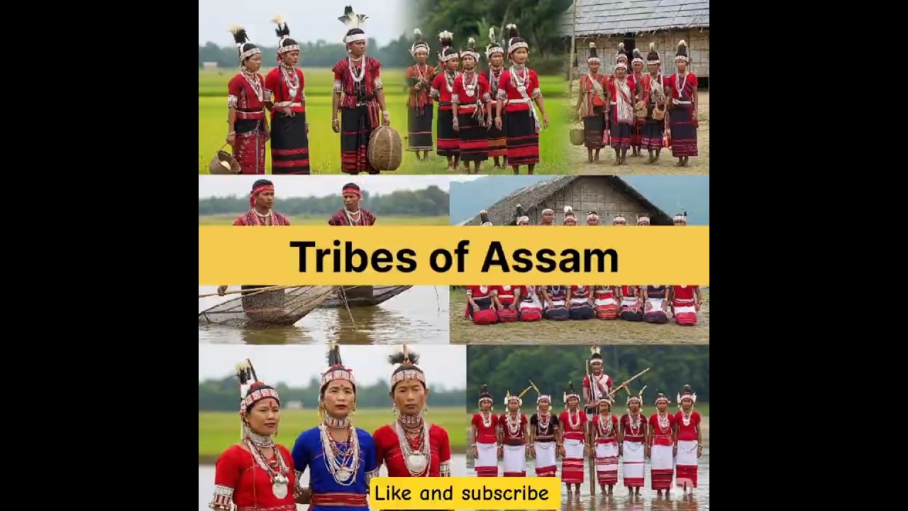Tribes Found in Assam | Indian Culture | Indian GK. | Gk today | Gk facts | Gk facts | Static Gk #gk