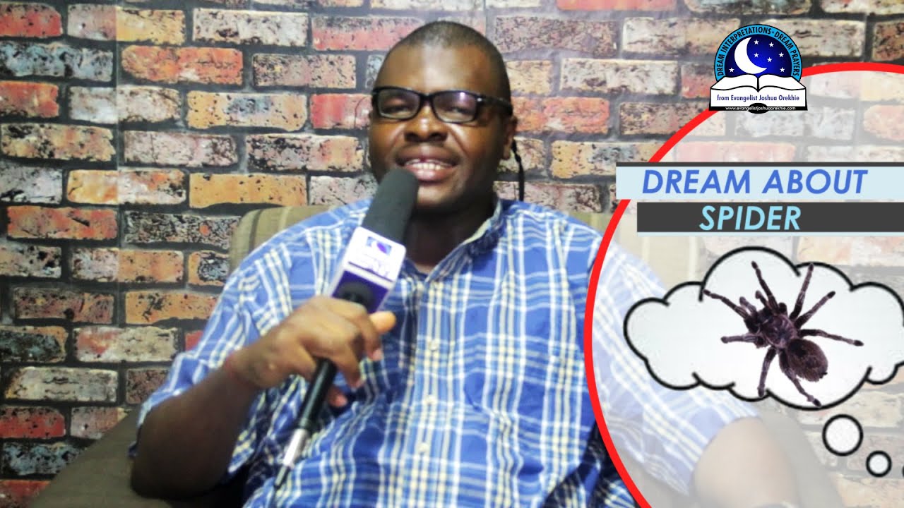 DREAMS ABOUT SPIDERS - Find out the Biblical meanings