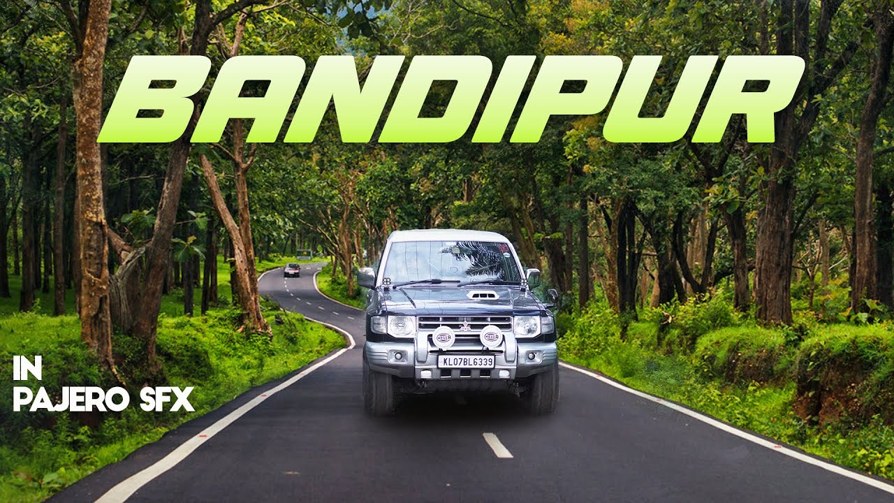 Beautiful Bandipur National Park in 4K| Safari | Full details | Leopard, Elephant & Gaur Sighting 🐘🐆