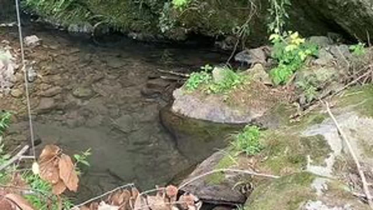 钓鱼专属必备，免调漂钓小物