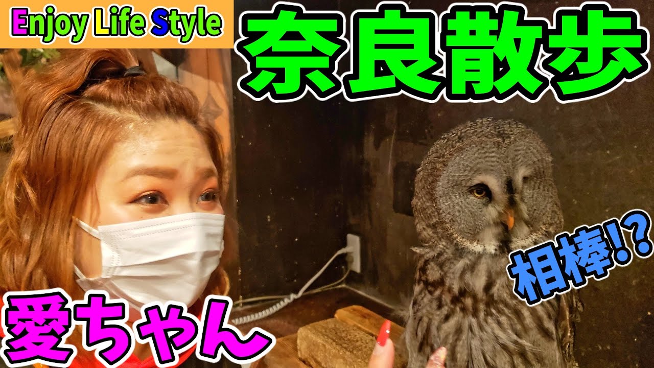 愛ちゃんとY's社長が奈良散歩します！でも最後はまさかの・・・。Ai and Y's president will take a walk in Nara! But at the end ...