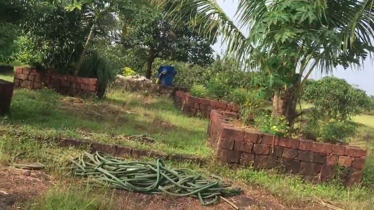 8 acre farm for sale!!!