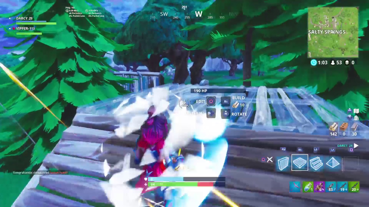 Fortnite Battle Royale Duos w/Riisqy (PURS) (11000+kills) (300+Wins)