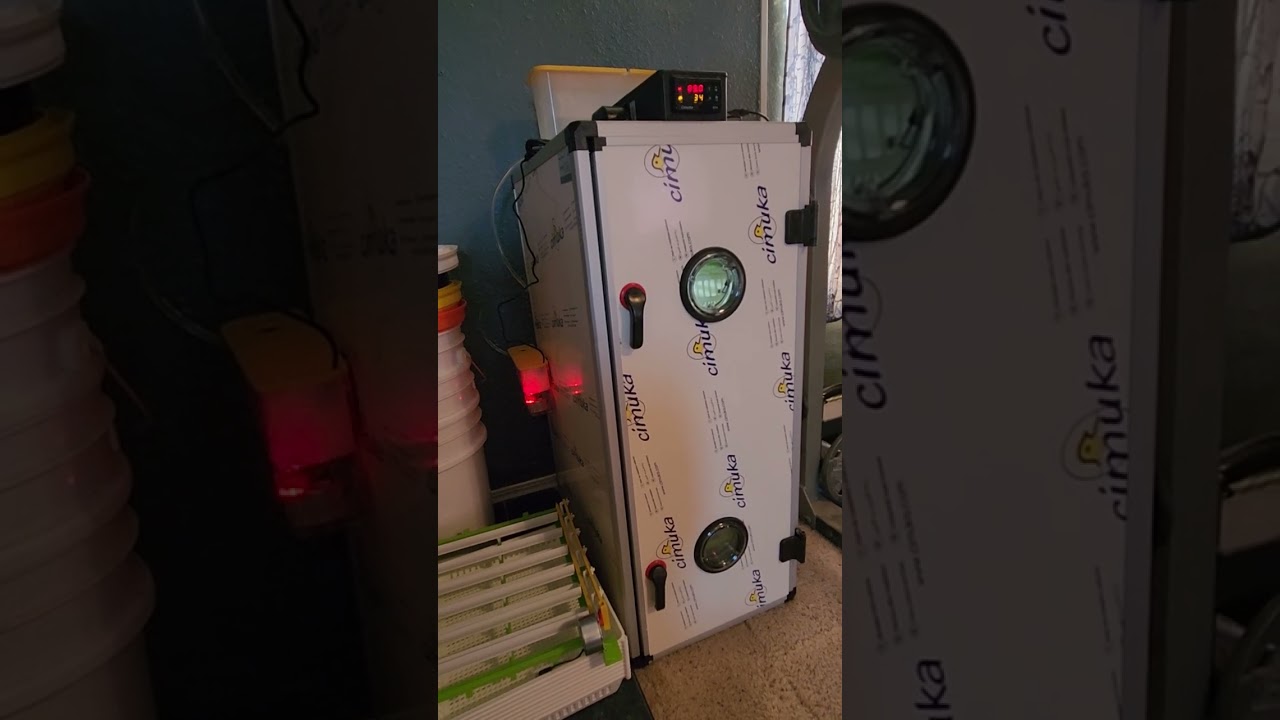 Hatching Time CT180 Incubator