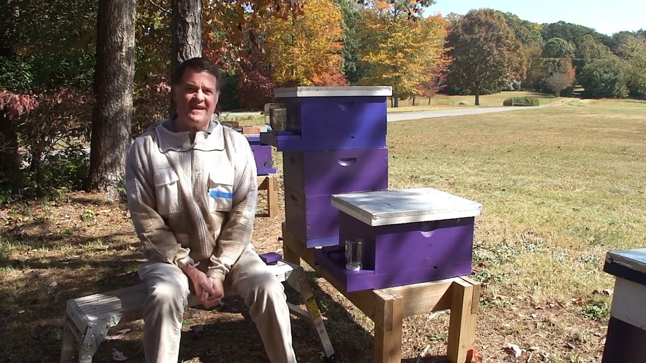 Bailey Bee Supply Multi-Purpose Queen Castle