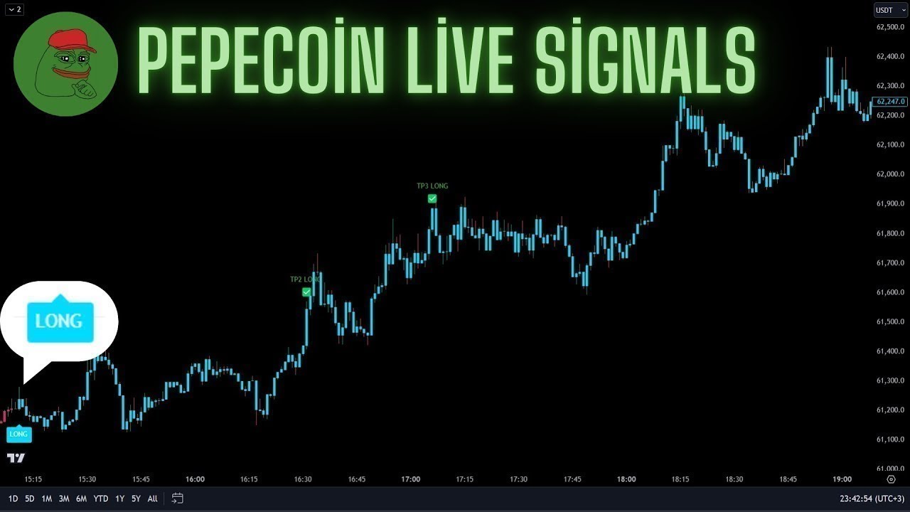 Live 24/7 Pepe Coin 5-Minute Best Trading Signals (Section From Live Broadcast)