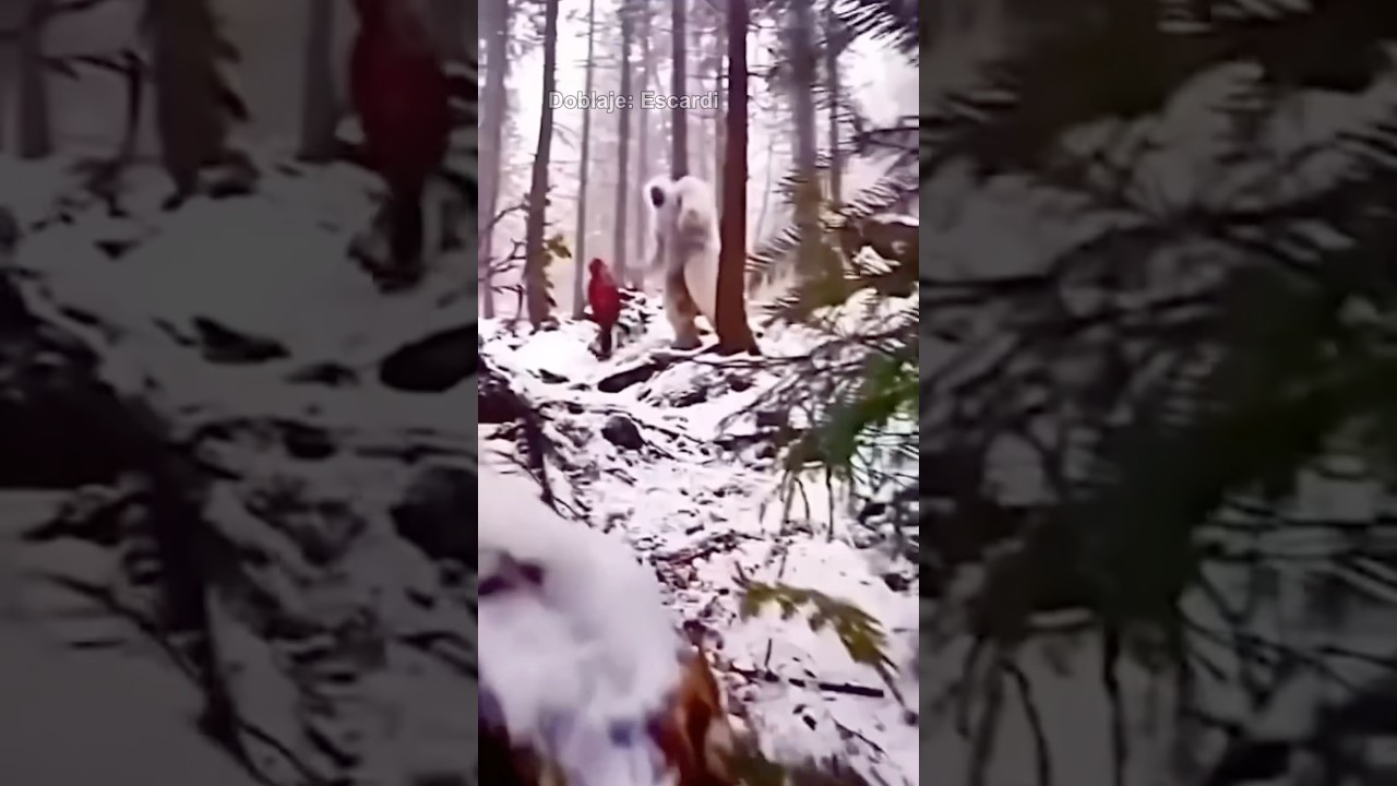 CUANDO TE ENCUENTRAS CON EL YETI