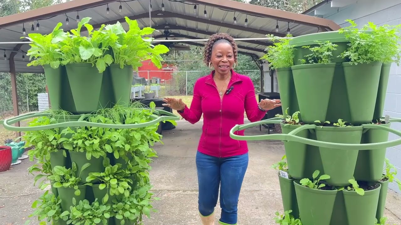 My Winter Garden at 60: Raised Beds, Grow Bags & GreenStalks