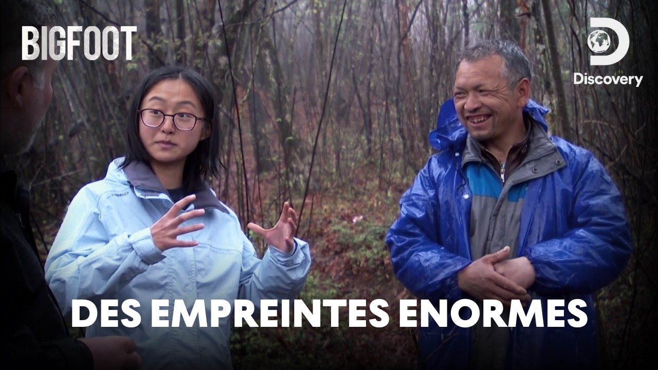 Bigfoot en Chine : à la recherche du Yeren, le Sasquatch asiatique