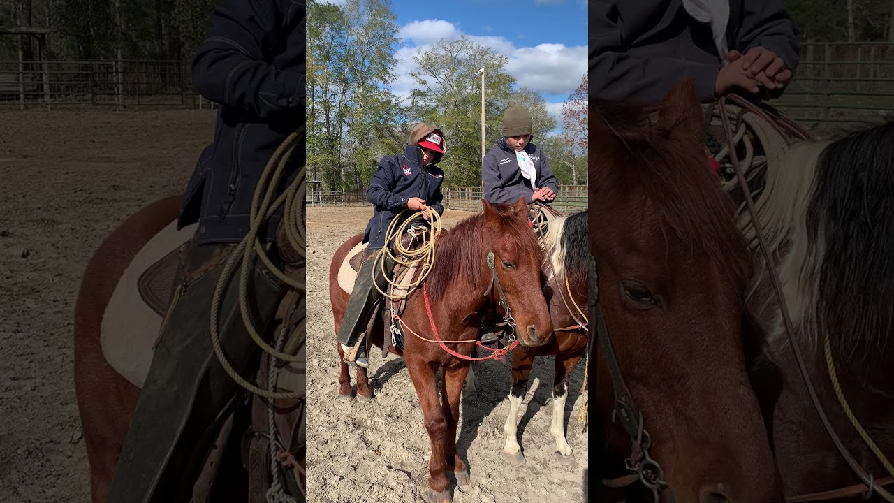 Performance pony pro application video