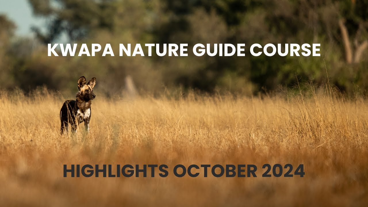 Nature Guide Course  Highlights October 2024 - African Guide Academy