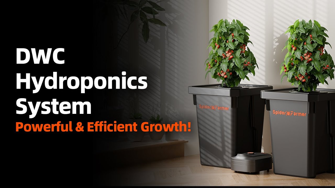Spider Farmer DWC Hydroponics System &ndash; Smarter, Stronger, Better | New