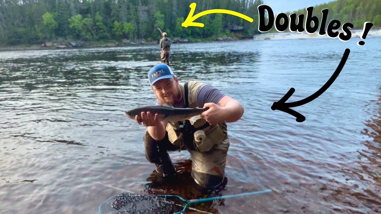 EPIC Dry Fly Fishing For SAVAGE Atlantic Salmon ( Newfoundland )