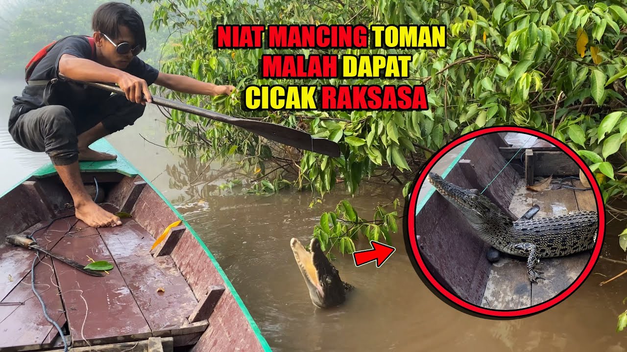 PASANG PANCING UMPAN IKAN HIDUP DI SUNGAI DAN ANAK SUNGAI DIKIRA DAPAT TOMAN😅 #bocahpecicilan