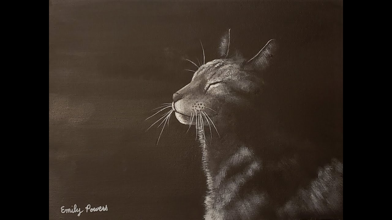 Black & White Cat Acrylic Painting Tutorial Step-By-Step