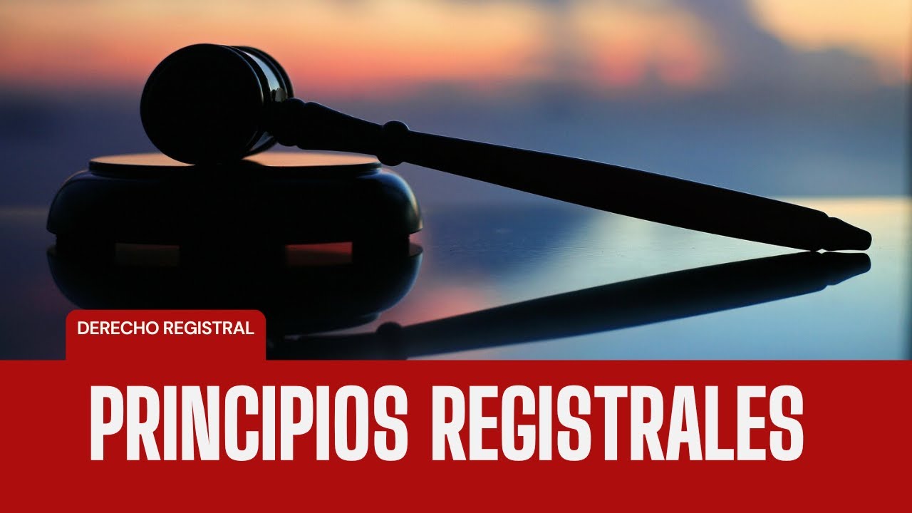 Principios Registrales.  Registro de la Propiedad