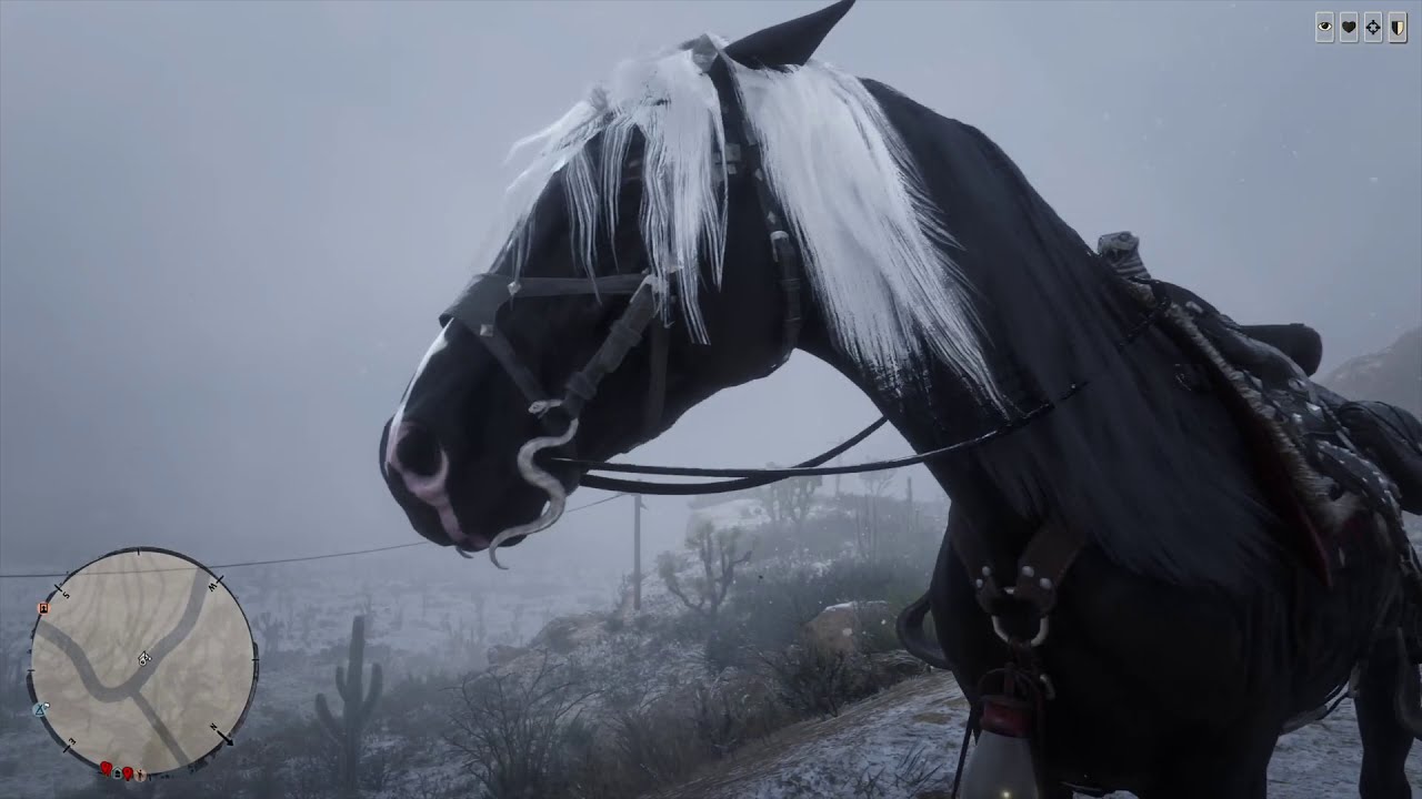 New Black Turkoman Showcase | Red Dead Online