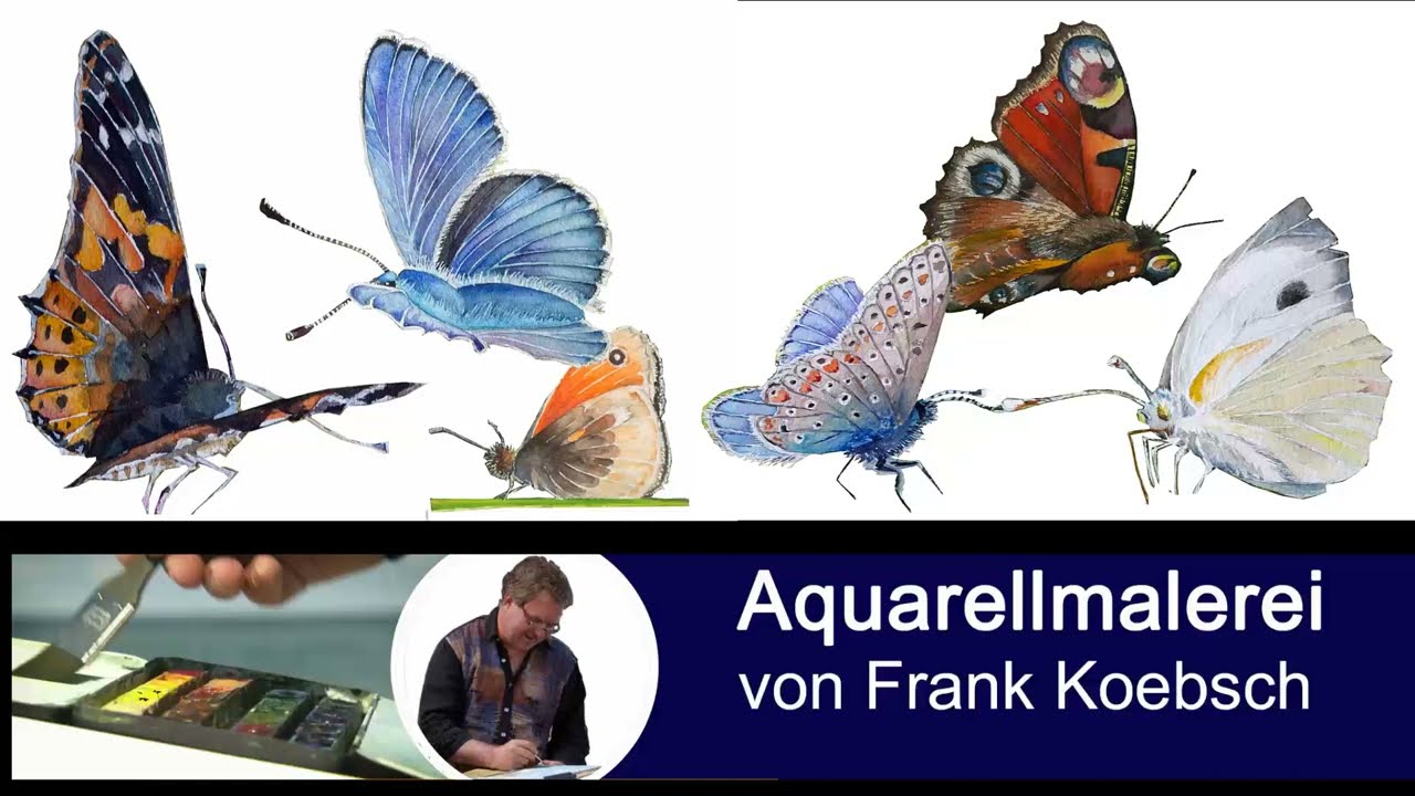 Frank Koebsch malt ein Schmetterlingsaquarell