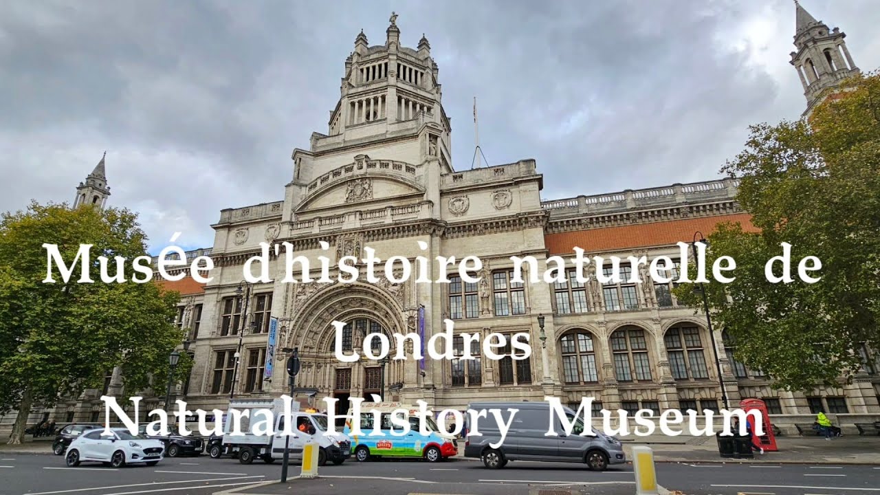 Royaume Unis 🇬🇧, Musée d'histoire naturelle de Londres _ Natural History Museum