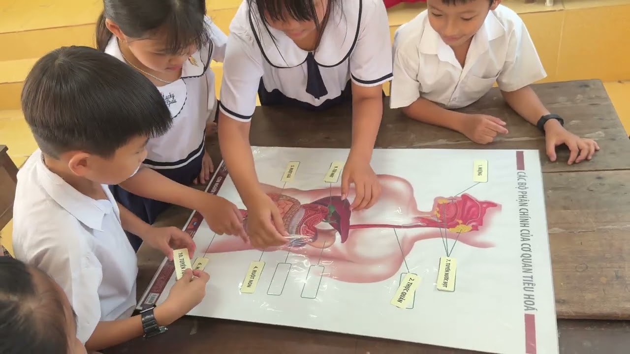 BÀI DỰ THI DẠY HỌC TRỰC QUAN SÁNG TẠO VỚI ĐỒ DÙNG DẠY HỌC 