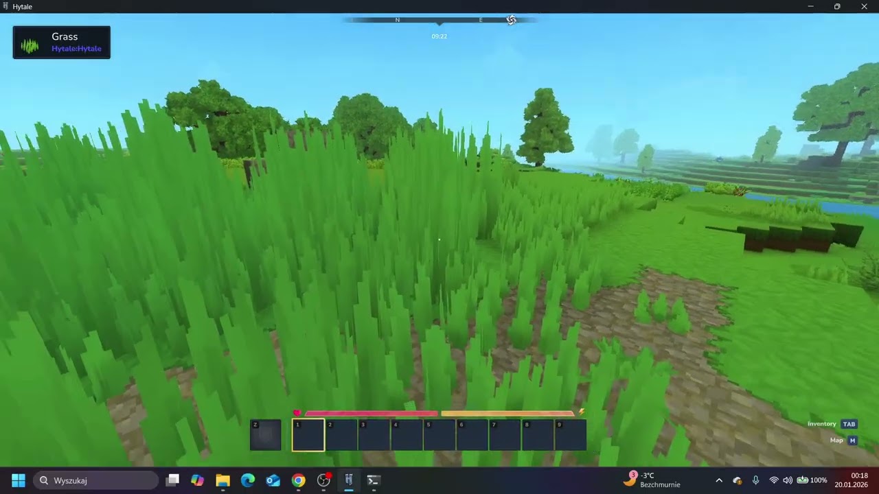 Pliki serwerowe Hytale do pobrania