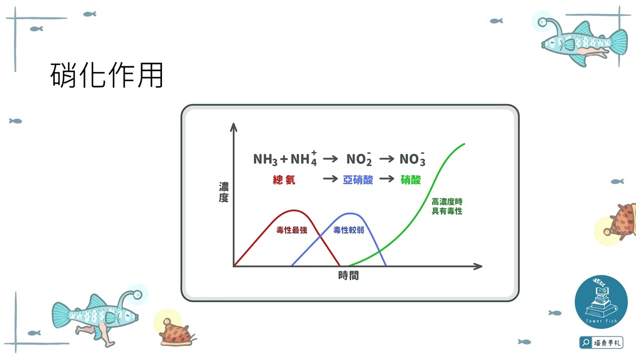 魚缸中哪個水質數據最重要? 快樂細菌第一章