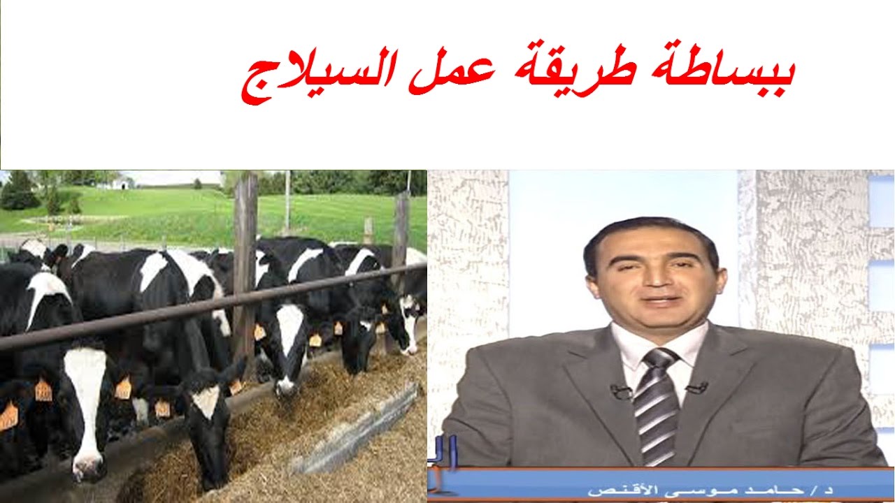 ببساطة طريقة عمل السيلاج