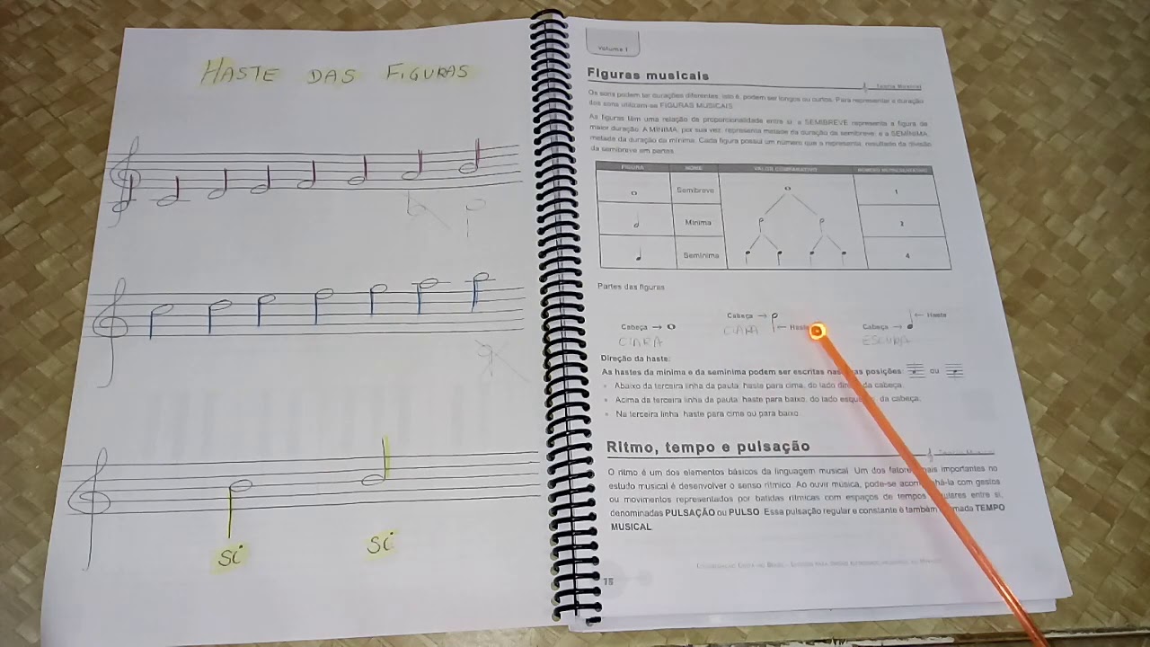 ESTUDOS ÓRGÃO-  página 18