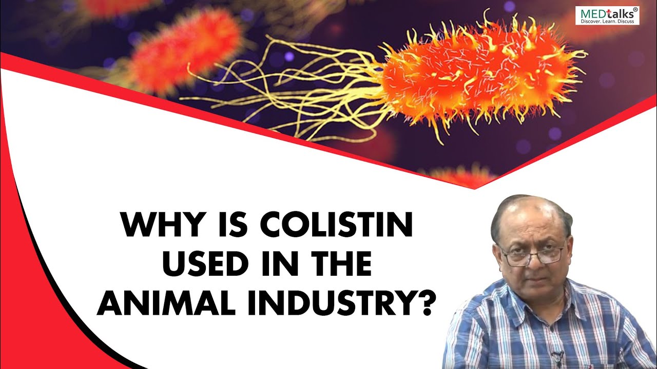 Dr Sunil Gupta - why is colistin used in animal industry?