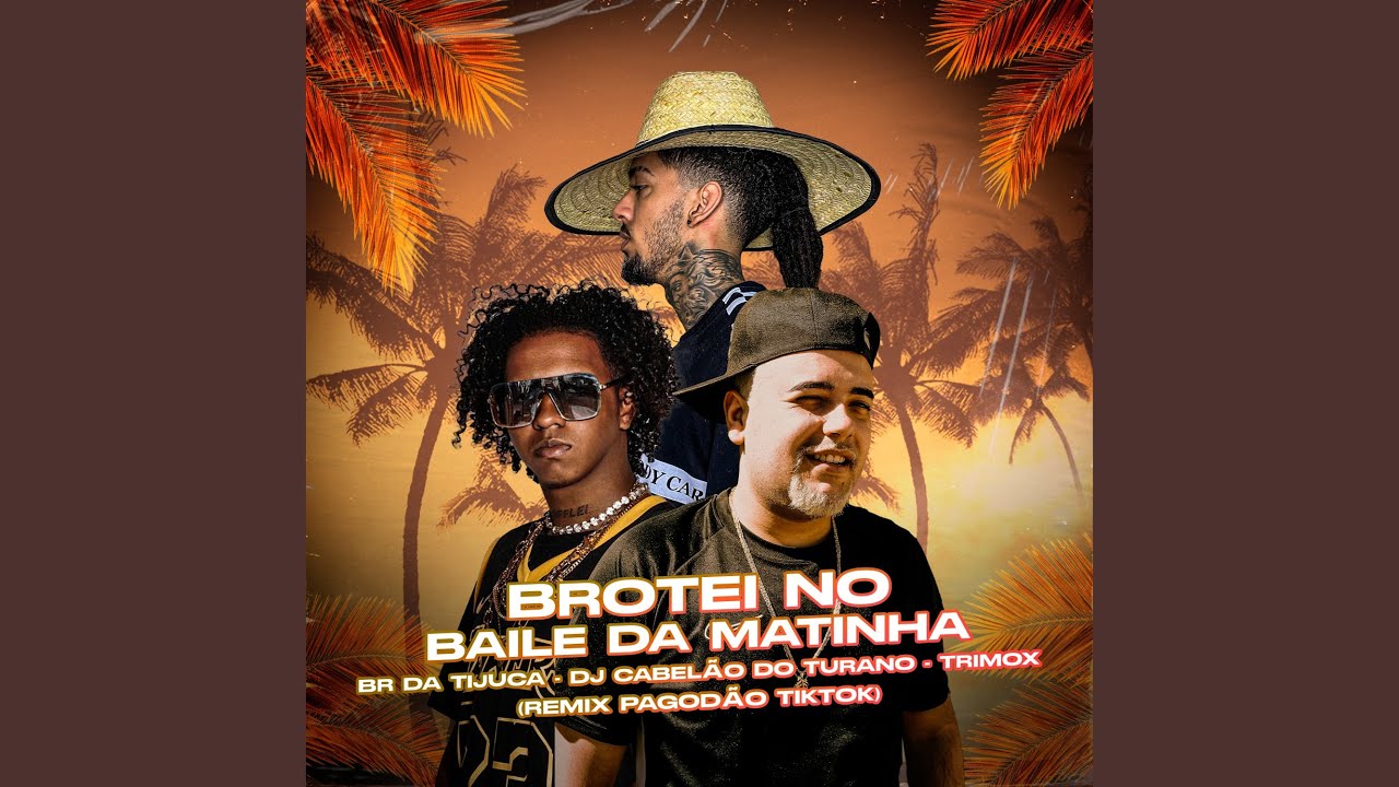 Brotei no Baile da Matinha (Remix Pagodão Tiktok)