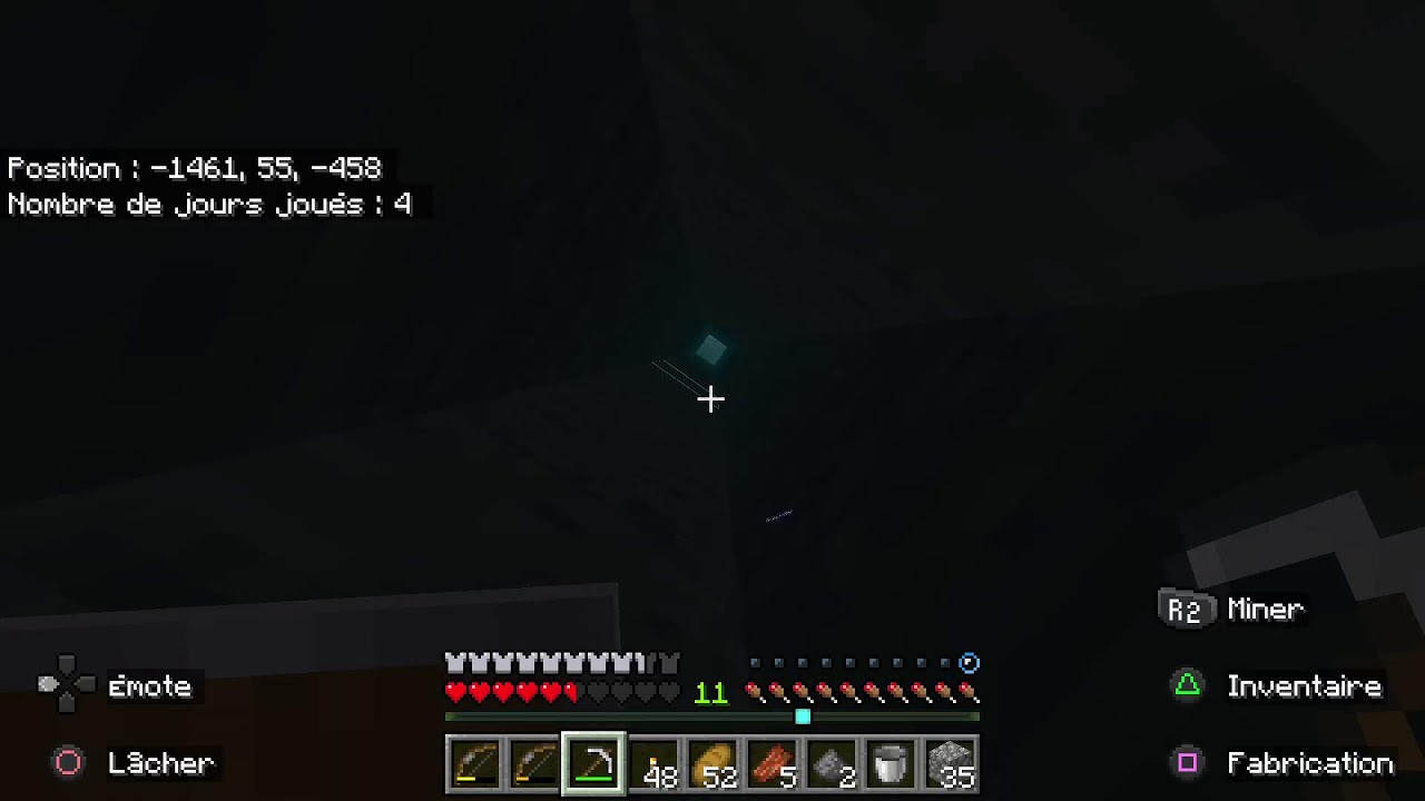 Live Chill mincraft survie