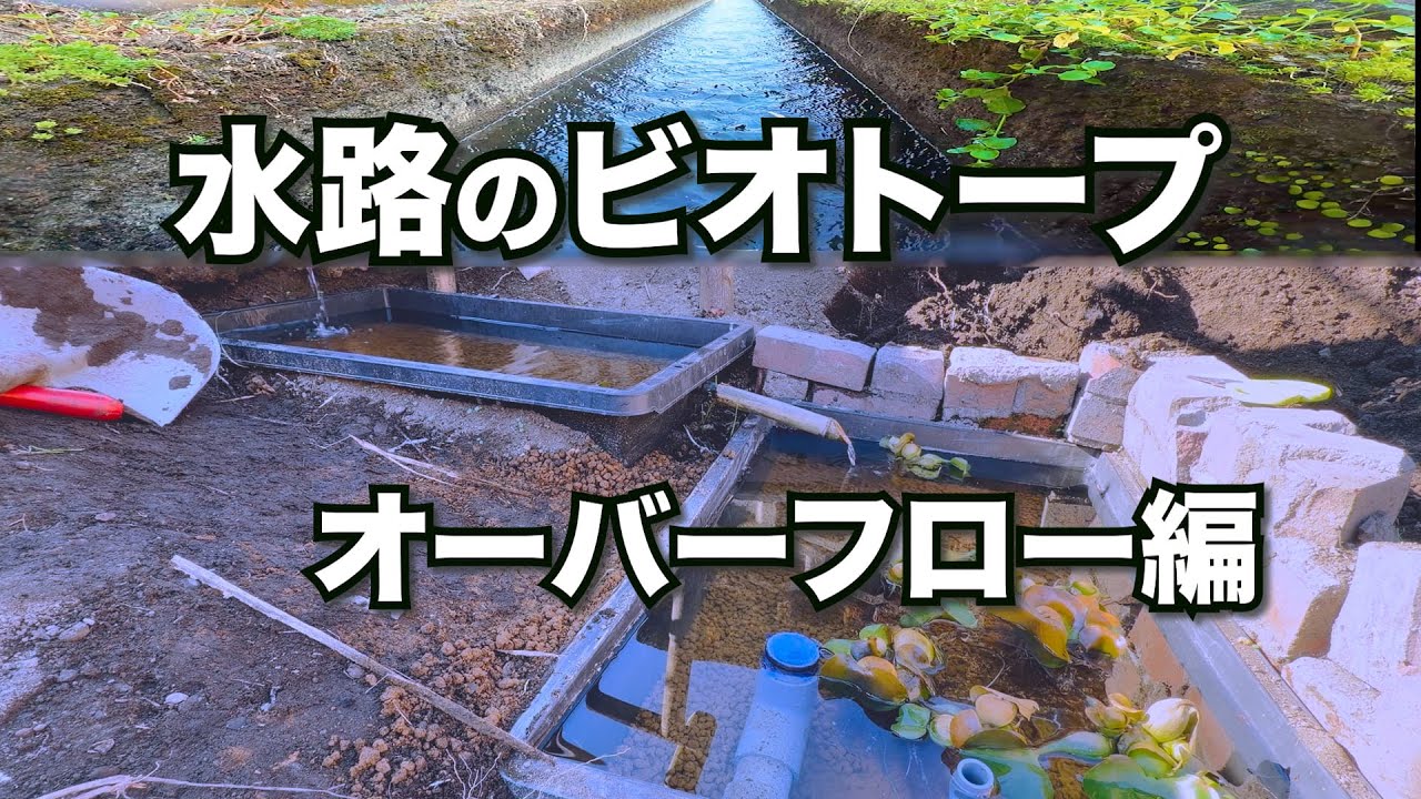 水路のビオトープ　オーバーフロー編